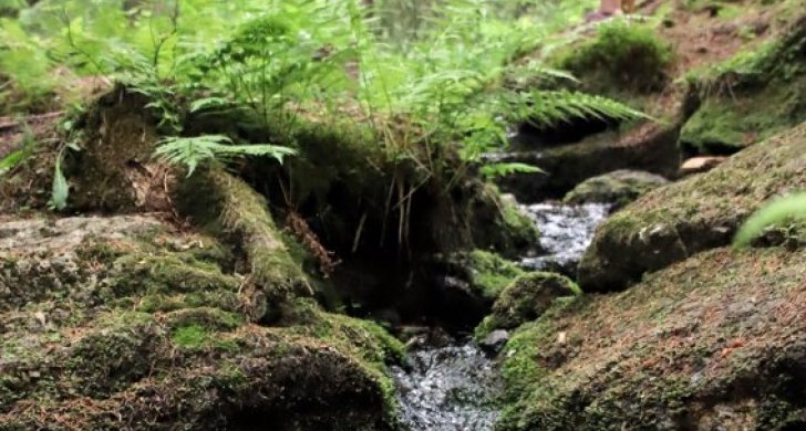 Jana Sindelarova_fotí.jpg